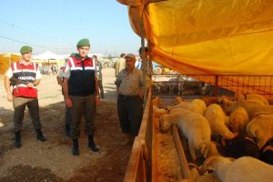 Jandarma'dan kurban dolandırıcılarına karşı &ouml;nlem