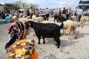 Hayvan pazarında sahte para uyarısı
