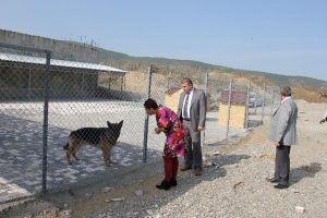 T&uuml;reci hayvan barınağını gezdi