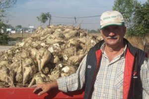 Pancar &uuml;reticisi fiyat bekliyor