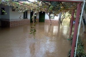Sel sularının vurduğu Avşa adası yardım bekliyor