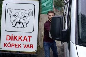 K&ouml;pekler bakıcıya, sahibi gazetecilere saldırdı