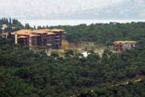 B&uuml;y&uuml;kada'daki yetimhane D&uuml;nya &Ccedil;evre Merkezi olacak