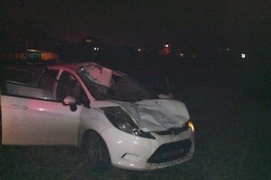 Sahibinden ka&ccedil;an kurbanlık, otomobile &ccedil;arptı: 2 yaralı