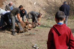 Dereye d&uuml;şen kurbanlık vin&ccedil;le kurtarıldı