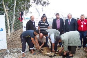 Suriyeli sığınmacılara 40 kurban kesildi