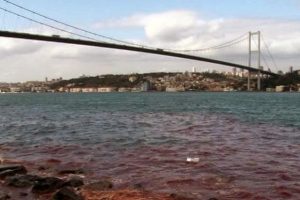 İstanbul Boğazı kana bulandı