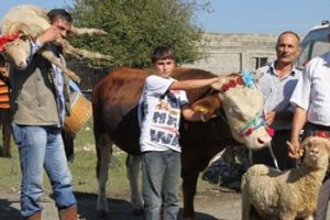 İlk g&uuml;n&uuml;n bilan&ccedil;osu: 3 binin &uuml;zerinde yaralı