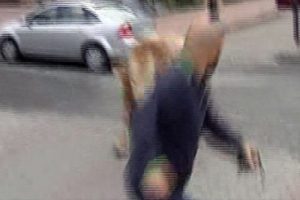 Boğa kameramana b&ouml;yle &ccedil;arptı