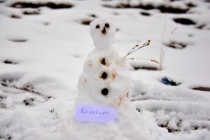 Erzurum'a kar yağdı