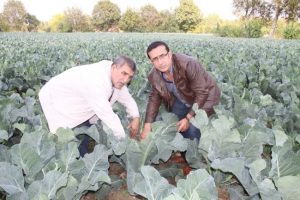 İneg&ouml;l &ccedil;ift&ccedil;isine alternatif &uuml;r&uuml;n &ccedil;ağrısı