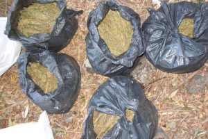 Erzurum'da 20 kilo esrar ele ge&ccedil;irildi