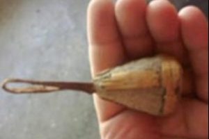 Peygamber toprağı satışa &ccedil;ıkarıldı