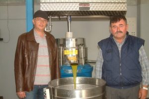 Burhaniye'de zeytinyağı kaliteli &ccedil;ıktı