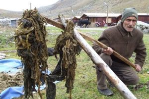 Kurban'ın midesinden 30 kilo plastik &ccedil;ıktı
