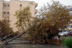 &Ccedil;anakkale'de kuvvetli yağış ve lodos