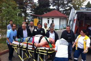 Meyve toplarken hastanelik oldular