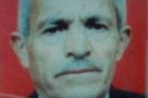 Kestiği dalın altında can verdi