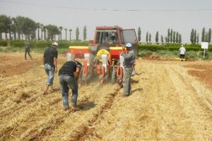 Gap b&ouml;lgesinde &uuml;r&uuml;n deseni değişiyor