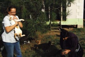 12 yavru kedi artık emin ellerde