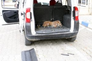 Yedek lastikten uyuşturucu &ccedil;ıktı