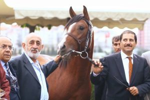 L&uuml;ks otomobil fiyatına tay