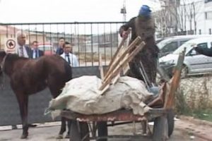 At arabalı kadınlar polise saldırdı