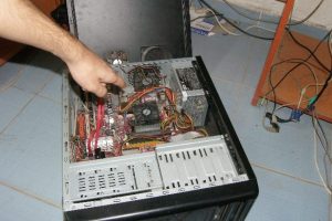 20 yıllık fotoğraf&ccedil;ının bilgisayarını fareler kemirdi