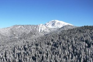 Ilgaz'a yılın ilk karı yağdı