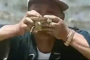 Kaplumbağayı canlı canlı b&ouml;yle yedi! +18