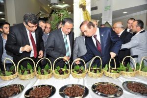 Kestane ve Kestane Şekeri Festivali başladı