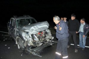 Başıboş eşek 3 kişinin yaralanmasına neden oldu