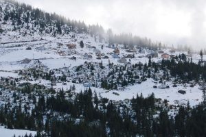 Giresun'a yılın ilk karı yağdı