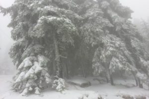 Uludağ'da tipi dağcılara zor anlar yaşattı