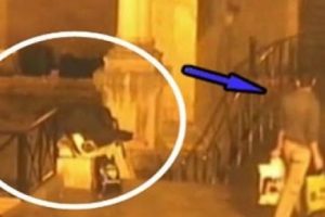 Polisin Antalya'daki muazzam operasyonu