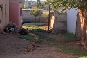 Suriye sınırında bulunan 3 k&ouml;y boşaltıldı