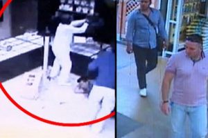 Almanya bu soyguncuları arıyor