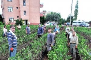 Selin yaraları el birliği ile sarılıyor