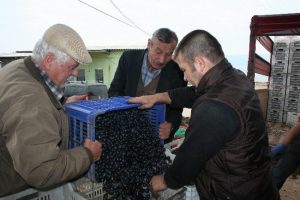 &Ccedil;ift&ccedil;i Marmarabirlik'e d&ouml;nd&uuml;