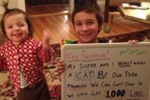 Kedi i&ccedil;in 120 bin kişi beğendi