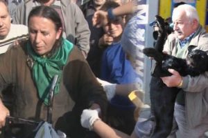 K&ouml;pek korkusuyla silahına sarıldı