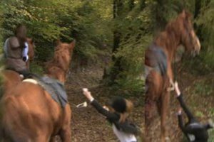 Emir'in Yolu'nda şok kaza!
