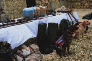 Vatandaşın ihbarı faciayı &ouml;nledi