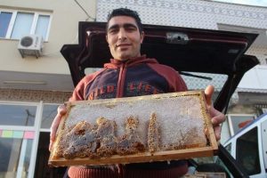 Bal peteğinin &uuml;zerinde 'Allah' yazıyor