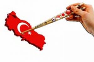 Asya kaplanları g&ouml;zlerini Anadolu'ya dikti