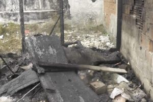 Ahırdaki atı diri diri yaktılar