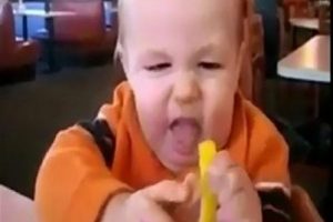 Bebeklerin limonla imtihanı!