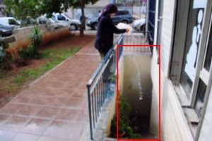 Parkta pazarlık k&ouml;m&uuml;rl&uuml;kte fuhuş