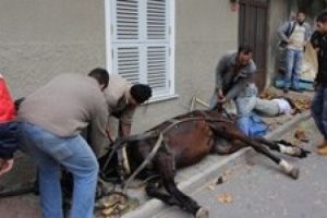B&uuml;y&uuml;kada'da fayton kazası!