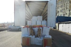 TIR dolusu ka&ccedil;ak sigara ele ge&ccedil;irildi